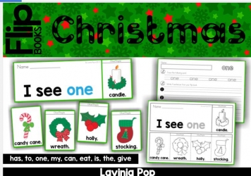 036少儿英语系列：自然拼读   Christmas Sight Word Fluency Flip Books